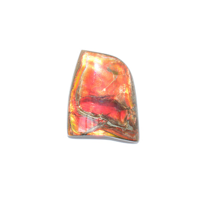 Piece is almost rectangular in shape and measures approximately 1.50” x 1.25”. Smooth and flat. Ammolite changes colour depending on how you look at it, although piece is predominantly yellow, orange and red.
