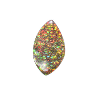 Flat and smooth, the ammolite shines different colours depending on how you look at it. Ammolite has many fractures.