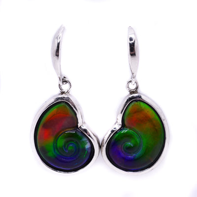 These silver ammolite swirl earrings are shaped like ammonite shells. They were handcrafted by Enchanted Designs.  Each earring measures 1 1/8” x 3/4” including the hooks.