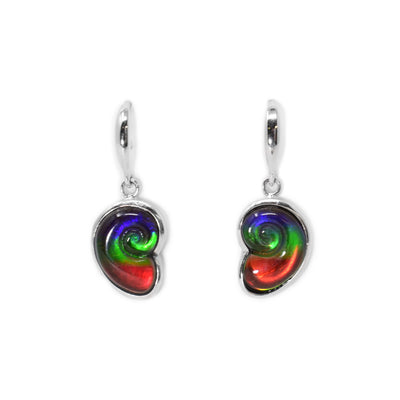 These dangling shell earrings are made from sterling silver and ammolite gemstones. The hangs are made from ammolite set onto a silver back and they have a swirly design on the surface of it and depict a shell.