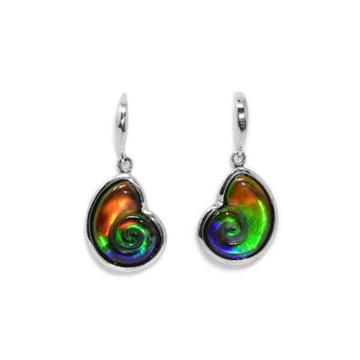 These dangling shell earrings are made from sterling silver and ammolite gemstones. The hangs are made from silver and the ammolite is embedded onto it. The hangs are shaped like and depict shells.