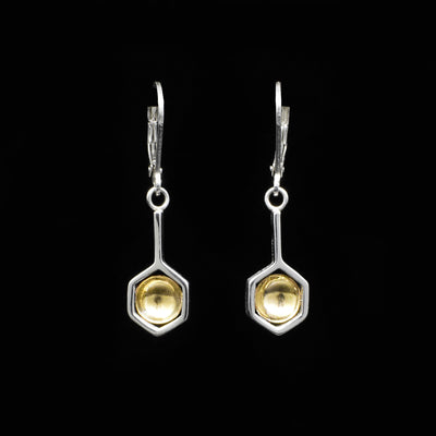 Sterling silver and 14K gold lever-back earrings. Sterling silver bar drops down from hook with hexagon at the end. Round piece of 14K gold inside.