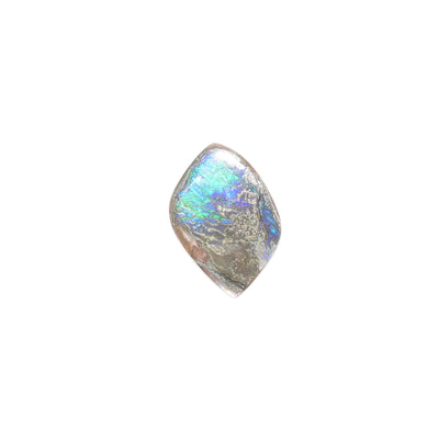 Smooth, flat piece of ammolite that shines different colours. Sample is predominantly grey-blue in appearance. Measures approximately 1.13” x 0.88”.