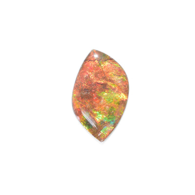Smooth, flat piece of ammolite that shines different colours. Measures approximately 1.63” x 1”.