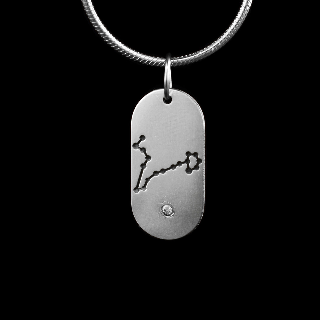 Elegant sterling silver pendant featuring the Pisces constellation with a March birthstone underneath — a perfect zodiac-inspired gift for astrology lovers.