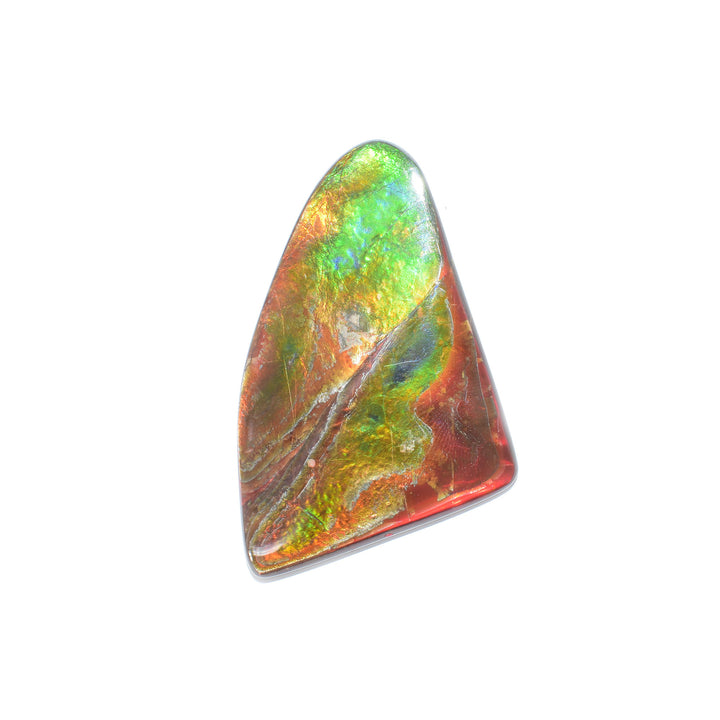 Smooth, flat piece of ammolite that shines rainbow. Three corners, almost triangular. Is approximately 1.88" long.