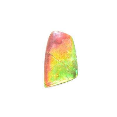 Smooth, flat piece of ammolite that shines rainbow. Four corners, almost rectangular. Measures approximately 1.63" x 1".