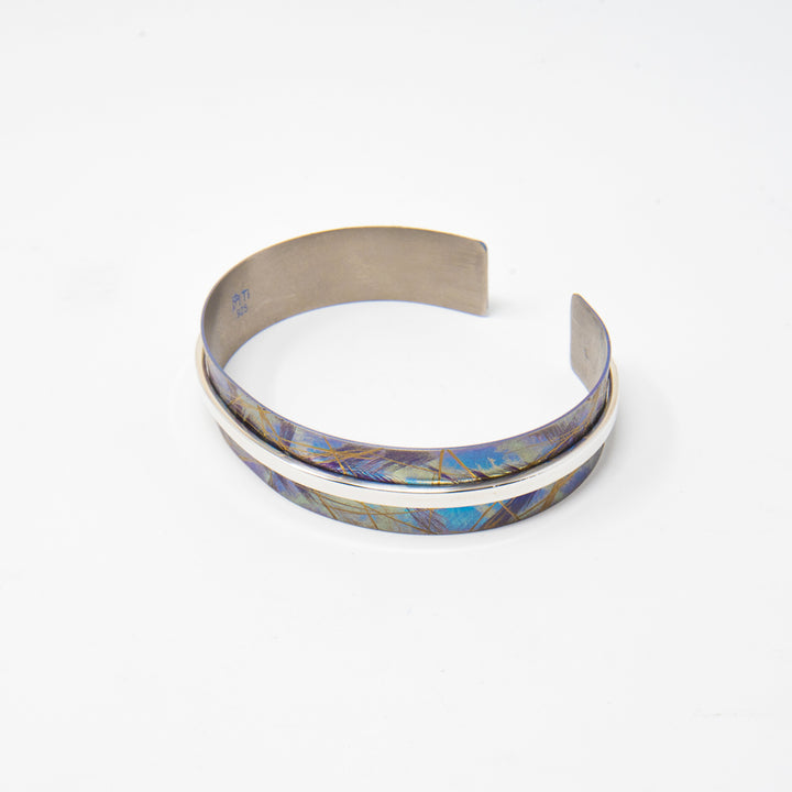 Large Turquoise Titanium Bracelet